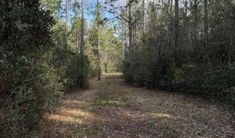 51235 Phillipsville Rd, Bay Minette, AL 36507