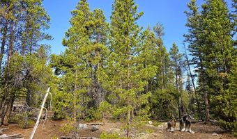 PCS # 7765 & 12057 Rollies Trail lot 0, Alma, CO 80420