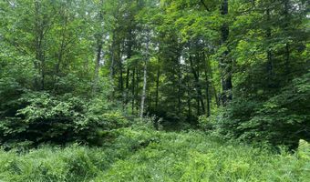 40 Acres The Grade, Amasa, MI 49920