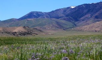 Stagecoach Spur W 935-8, Belfry, MT 59008