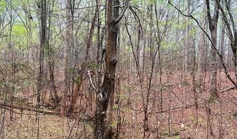 10 Cross St, Abbeville, SC 29620