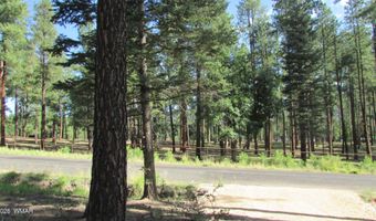 8 CR 2194, Alpine, AZ 85920