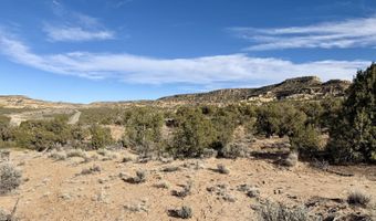 ROAD 4440, Blanco, NM 87412