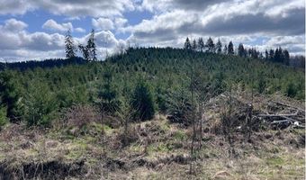 Northrup Creek Rd, Birkenfeld, OR 97016