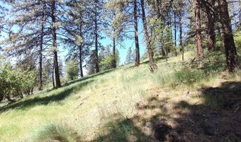 400 Bobcat Dr, Ahsahka, ID 83520