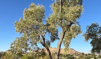 15492 Lenca, Apple Valley, CA 92307