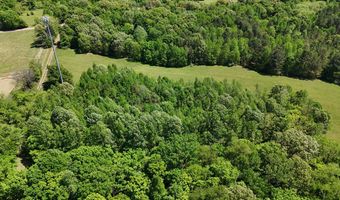 N Osborntown Rd, Arlington, TN 38002