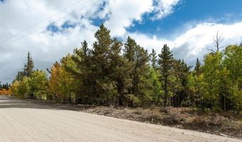 452 QUARTZVILLE Rd, Alma, CO 80420