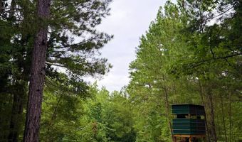 52 Penny Creek Rd, Abbeville, SC 29620