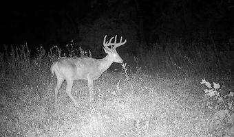 Simons Rd, Alma, WI 54610