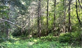West Tunnel, Banks, OR 97106