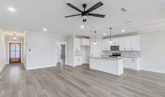 2003 Silcox Rd, Ashford, AL 36312