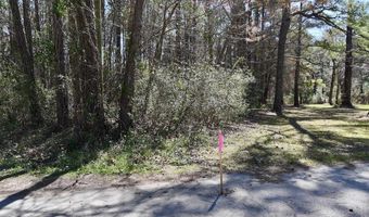 0 Lot 2 Creek Place Rd, Arapahoe, NC 28510