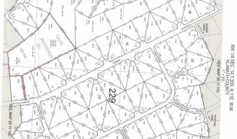 Oregon Pine Road Lot 9, Beatty, OR 97621
