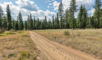 13902 Highland Trl, Alberton, MT 59820