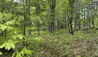 200 Coits Gore Rd, Bakersfield, VT 05441