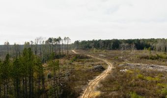 US Hwy 98, Beaumont, MS 39423