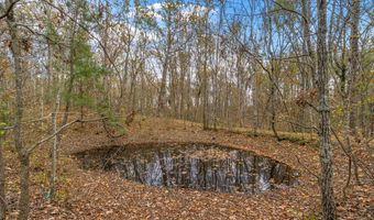 197 Old Homestead Rd, Big Sandy, TN 38221