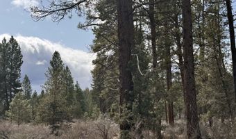 Bufflehead Drive TL 10, Bonanza, OR 97623