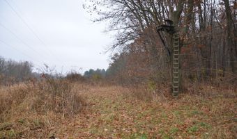 3366 Ludlow Rd, Albion, MI 49224