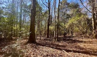 0 Tervin Mill Rd, Andalusia, AL 36421