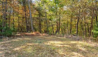 306 Travis Pless Rd, Alto, GA 30510