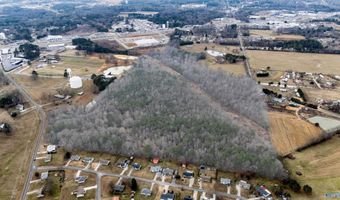 48 Acre Kilpatrick Rd, Albertville, AL 35951