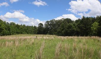 Vine Drive, Brandon, MS 39047