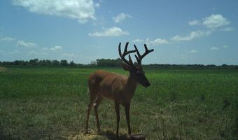 607 Hwy 69, Arma, KS 66712