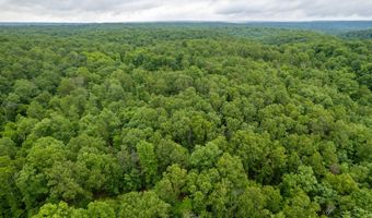 14 5 Neil Robinson Rd, Anderson, MO 64831