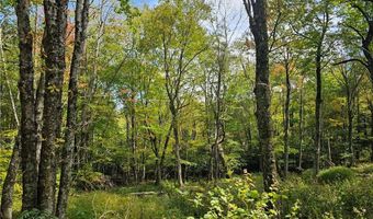 Lot 29 Lee Gualtney Road, Banner Elk, NC 28604