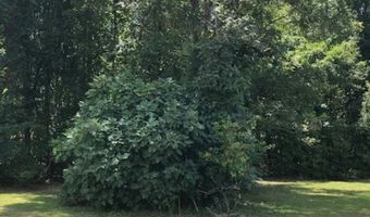187 Rambo Rd, Allendale, SC 29810