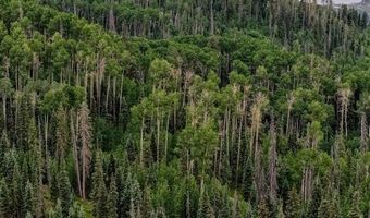 4566 Middle Mountain Rd, Bayfield, CO 81122