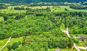 Stone Ridge Drive, Andersonville, TN 37705