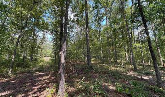 0 GIBSON COVE Dr 3 Acres, Ashville, AL 35953