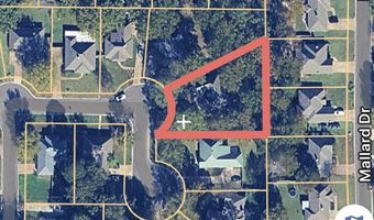 537 Greenhead Cir, Brandon, MS 39047