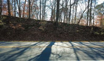 00001 Hwy 369, Ball Ground, GA 30107