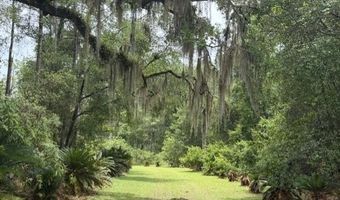 4850 NW 55th Ave, Bell, FL 32619