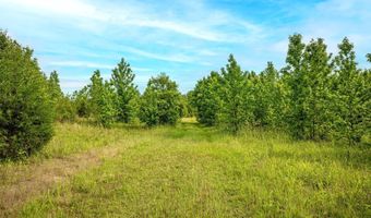 Franklin Dr, Batesville, MS 38606