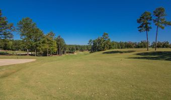 605 Scarlet Baby Dr, Blythewood, SC 29016