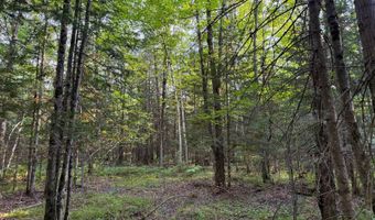 County Road Y, Aniwa, WI 54408