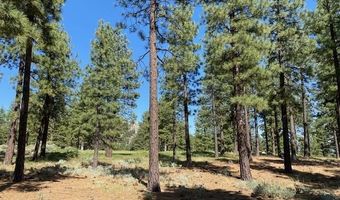 3541 Golf Club Dr 1, Carson City, NV 89705