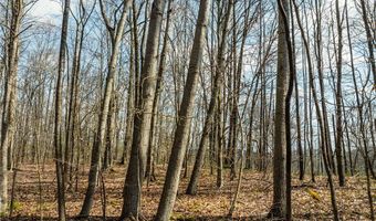 E Captina Highway Road, Alledonia, OH 43902