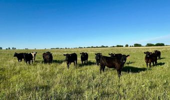 Rd 310 & Rd J, Allen, KS 66833
