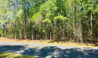 Grants Mill Rd W, Bennettsville, SC 29512