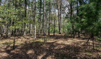S Badger Lane lot 38, Arkdale, WI 54613