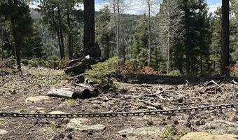 Lots 16 Lot17 Palo Flechado Ridge Road, Angel Fire, NM 87710