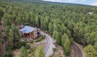 339 Elk Dr, Bayfield, CO 81122