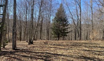 L22.2 Alder Pond Road, Andes, NY 13740