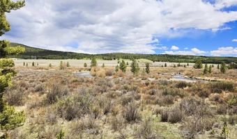 700 Looney Ln Lot 0, Alma, CO 80420